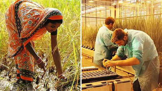 Film 10 Milliarden - Wie werden wir alle satt?