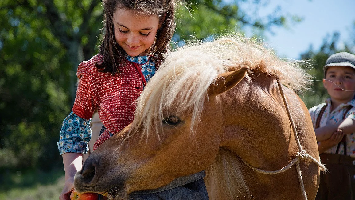 Link zum FilmTipp Mein Freund Poly