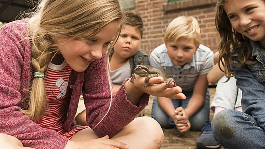 Film Hilfe, unser Lehrer ist ein Frosch