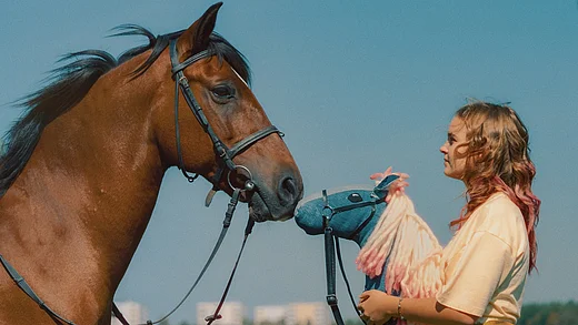 Film Pferd am Stiel