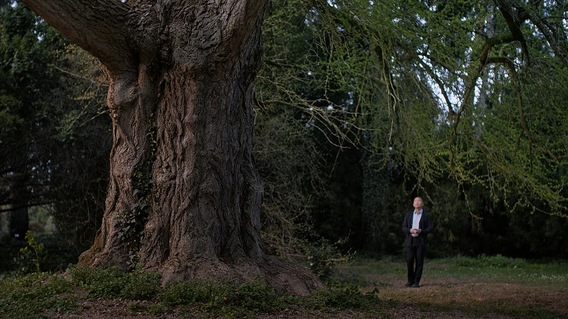 Link zum FilmTipp Silent Friend