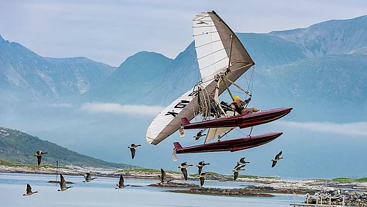 Film Der Junge und die Wildgänse